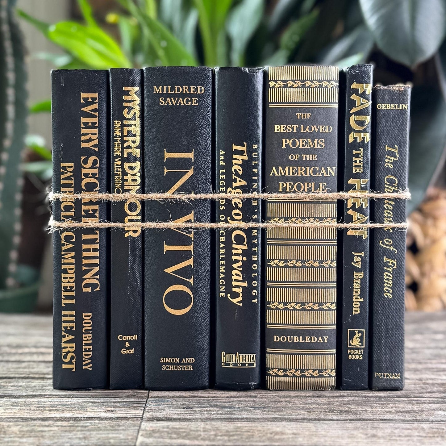 Black and Gold Vintage Book Set for Dark Academia Shelf Styling