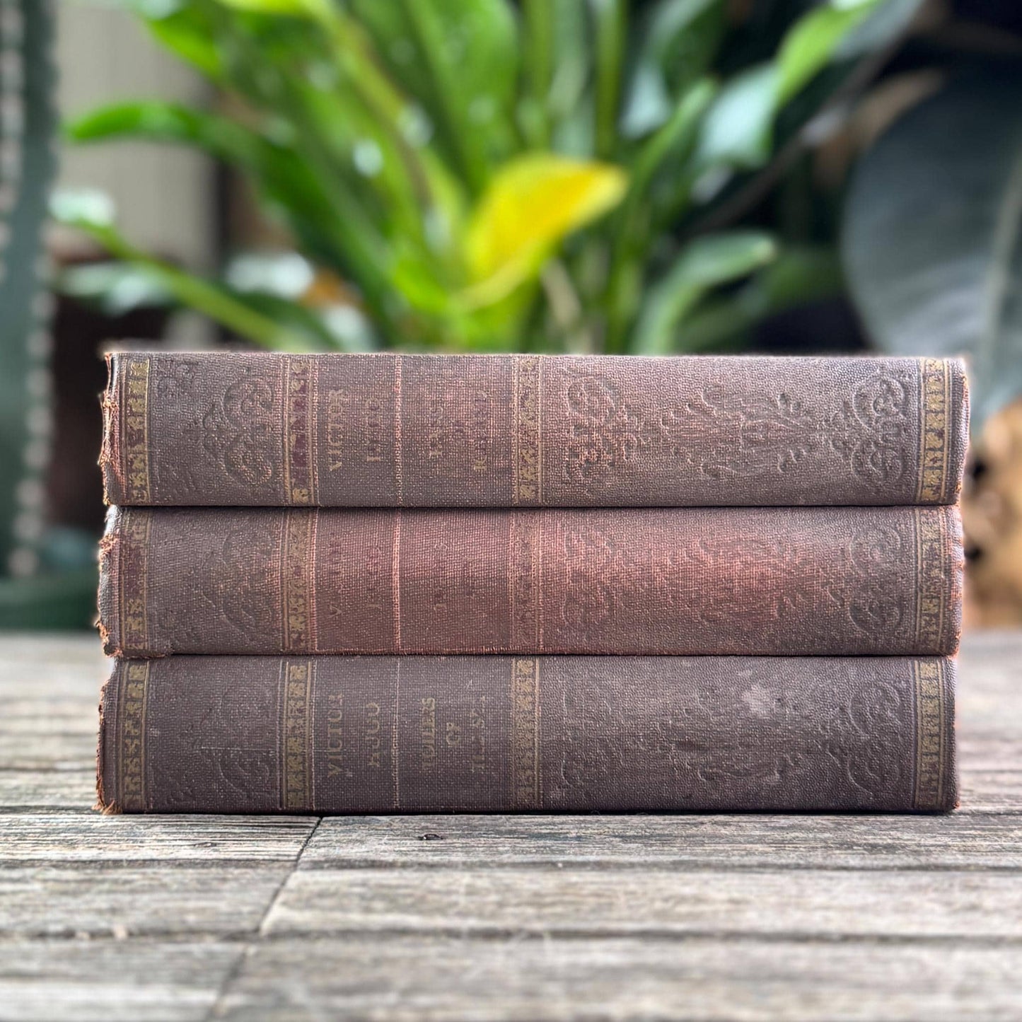 Ornate Antique Novels of Victor Hugo, Faded Mauve Book Bundle for Styling