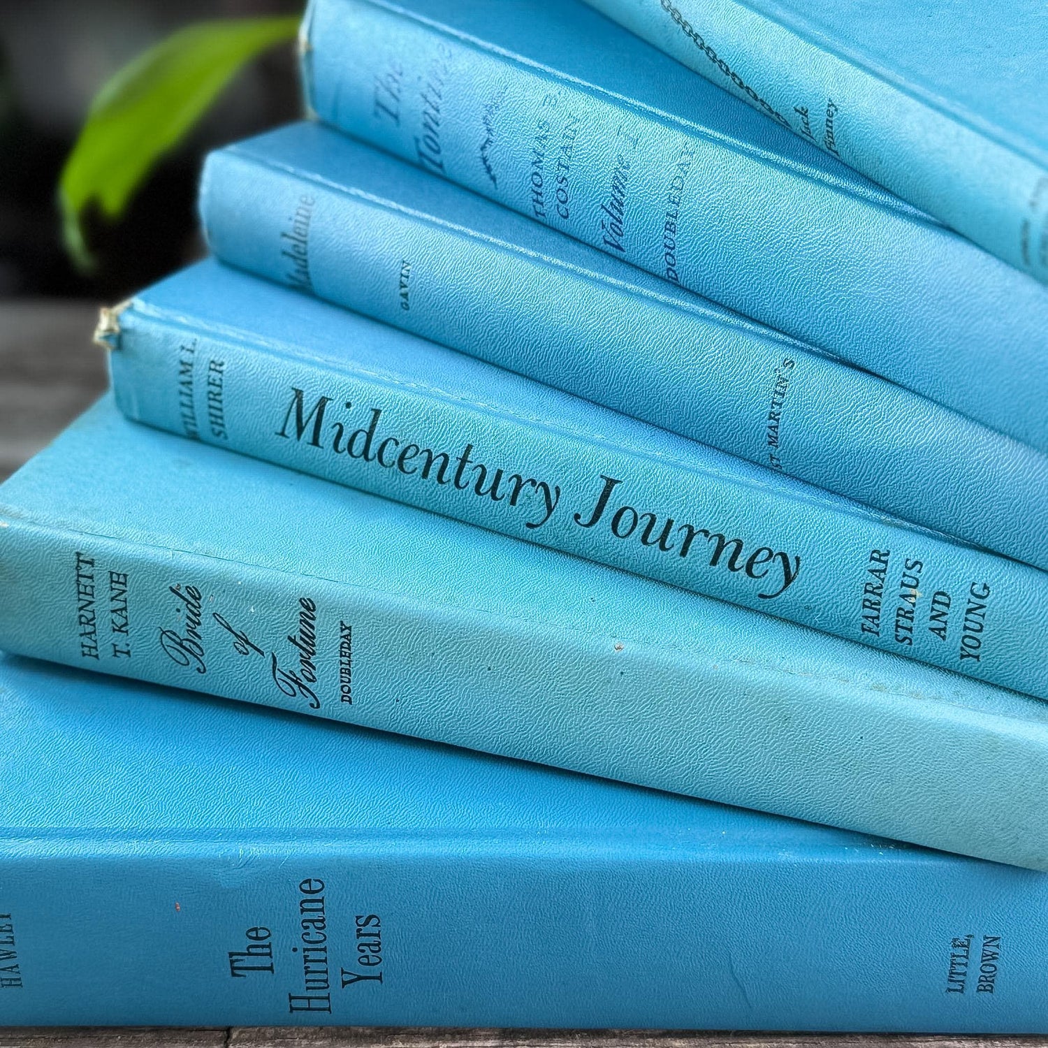 MID CENTURY 関係　インテリア本　セット Turquoise Blue Mid Century Book Set for Bookshelf Decor – Pretty