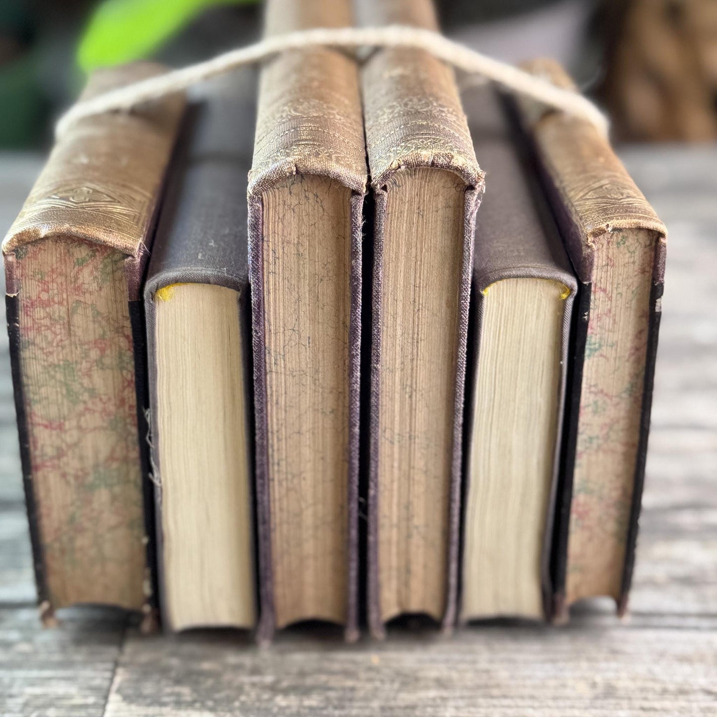 Antique Ornate Brown German Books, European Book Bundle