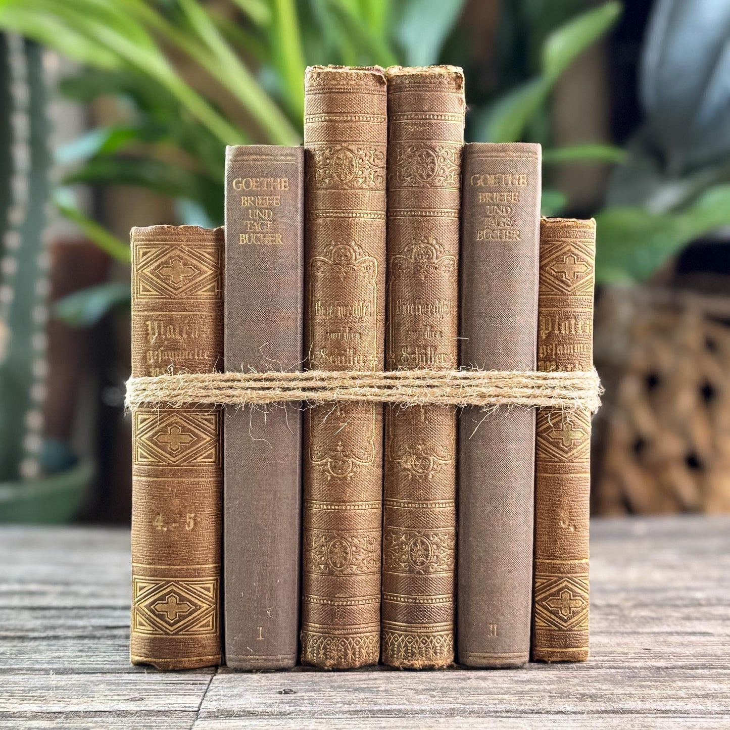 Antique Ornate Brown German Books, European Book Bundle