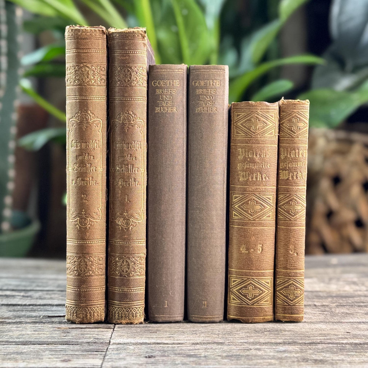 Antique Ornate Brown German Books, European Book Bundle