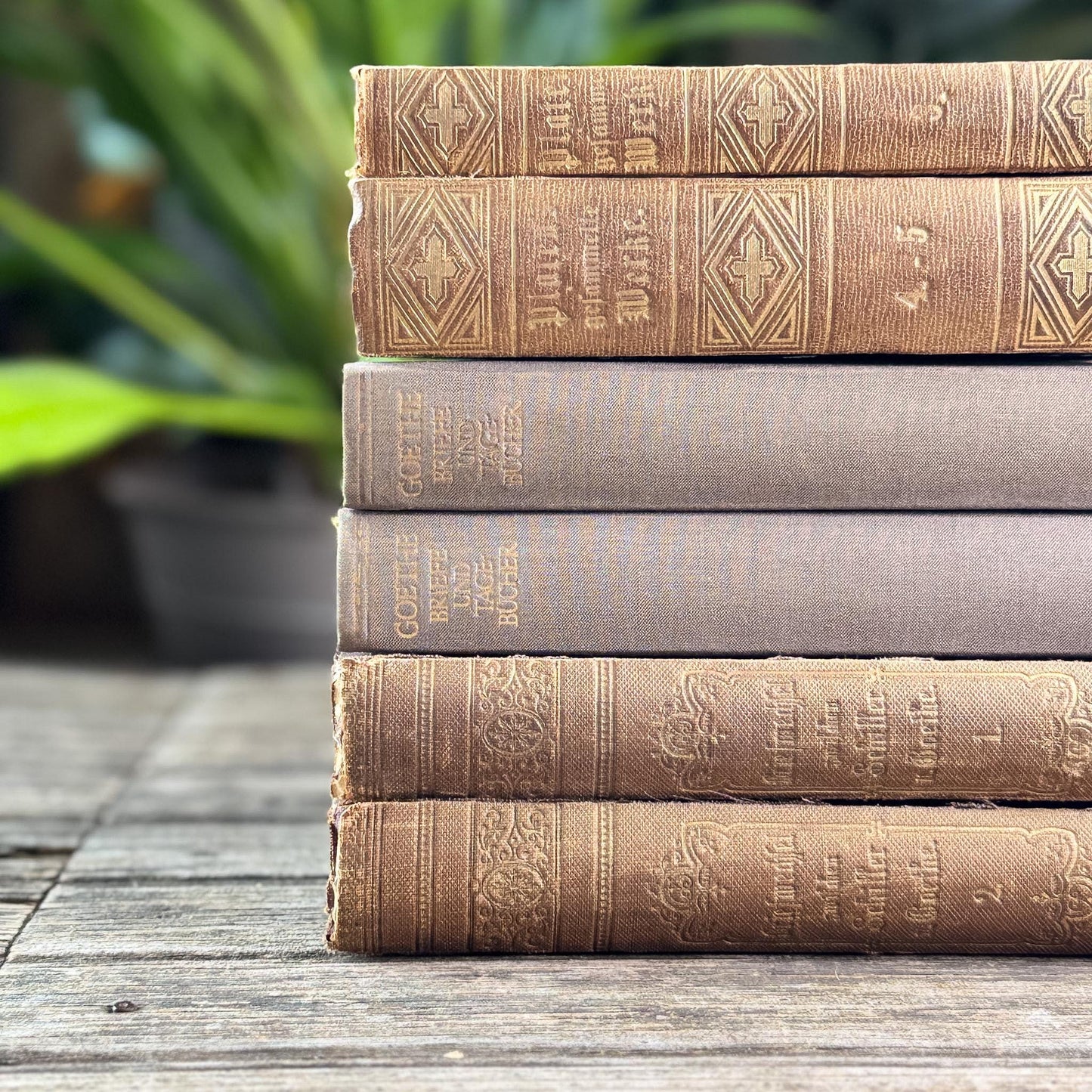 Antique Ornate Brown German Books, European Book Bundle