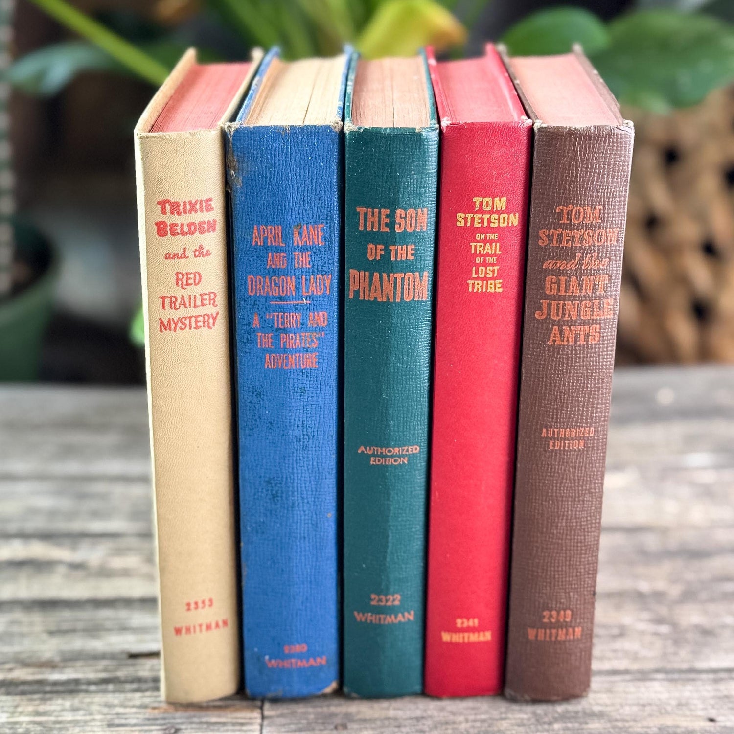 Vintage Whitman Classics 1940s Kids Books
