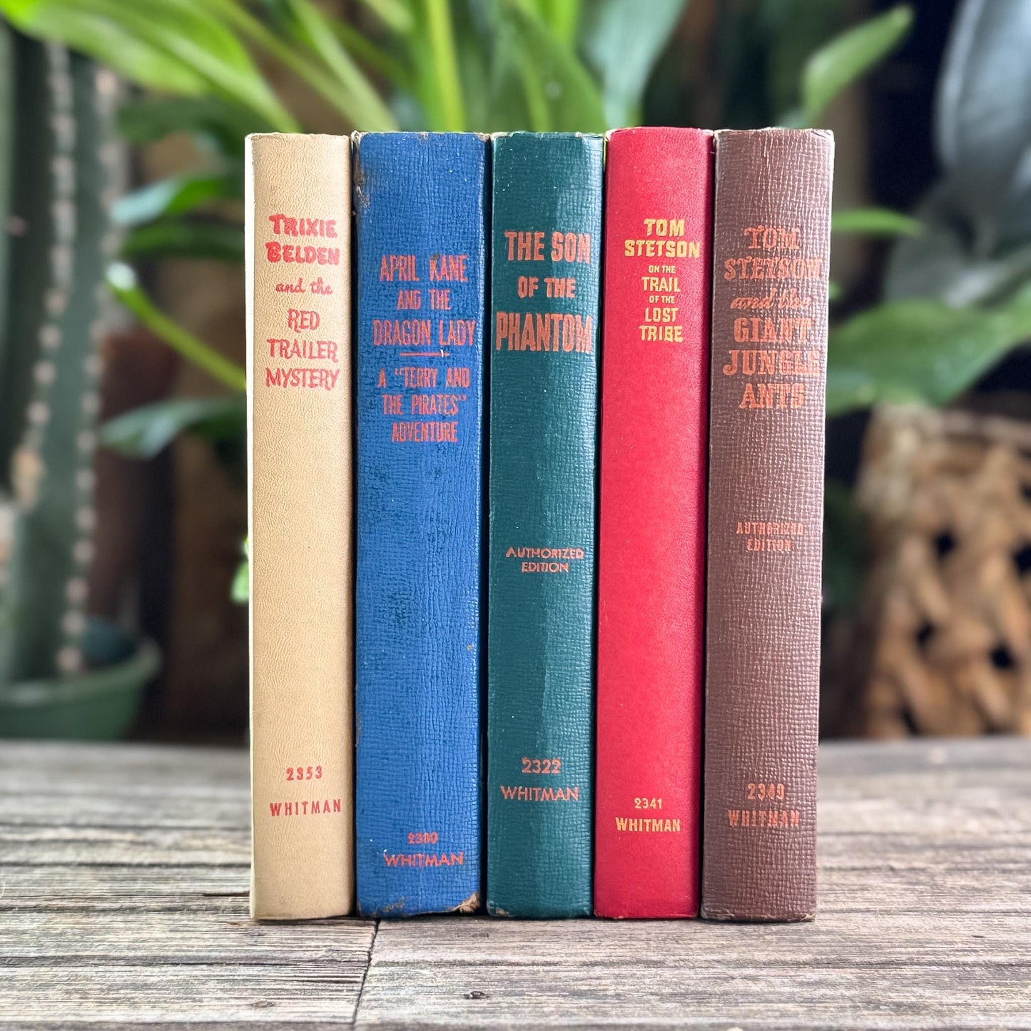 Vintage Whitman Classics 1940s Kids Books