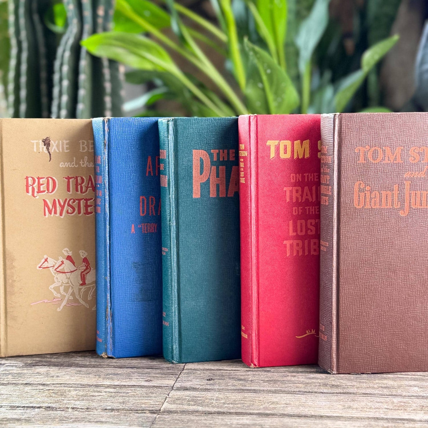 Vintage Whitman Classics 1940s Kids Books