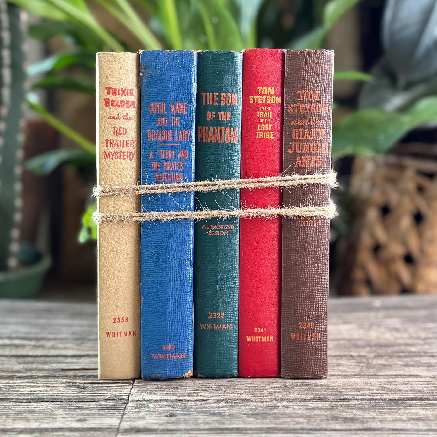 Vintage Whitman Classics 1940s Kids Books