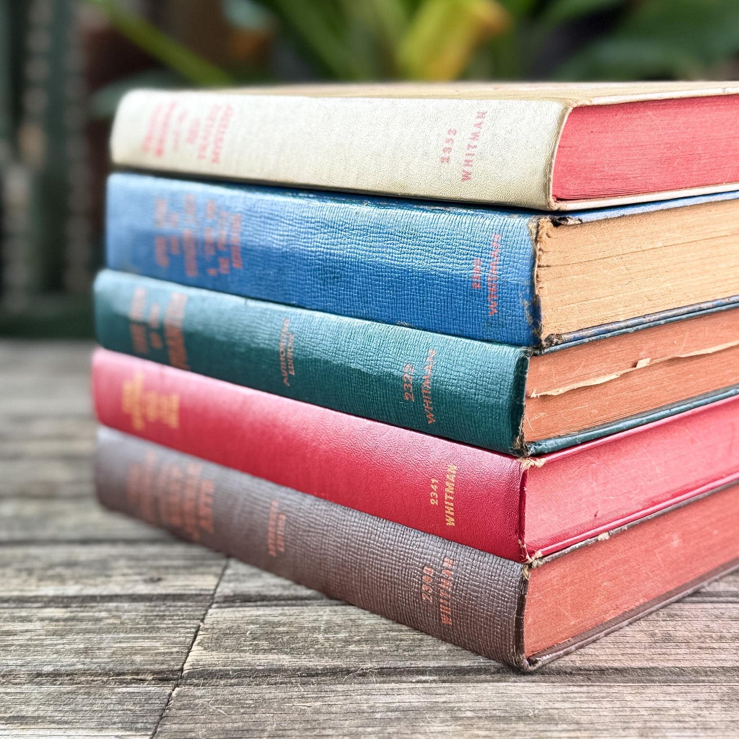 Vintage Whitman Classics 1940s Kids Books
