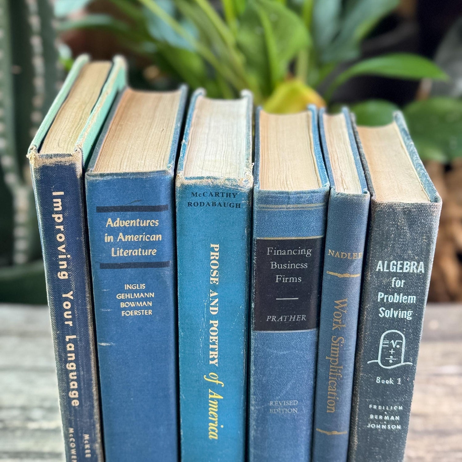Vintage Oversized Blue Mid-Century Textbook Bundle For Shelf Styling