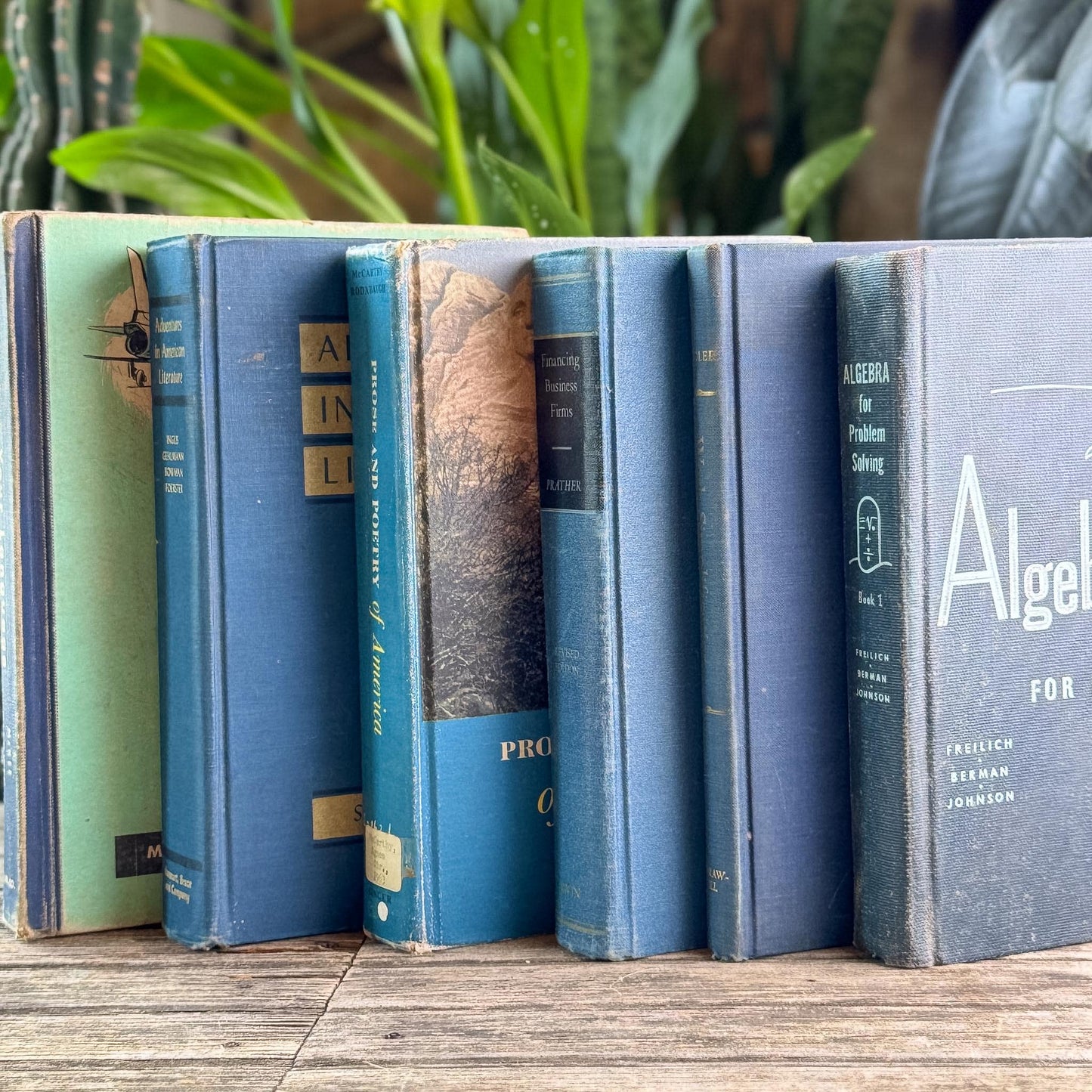 Vintage Oversized Blue Mid-Century Textbook Bundle For Shelf Styling