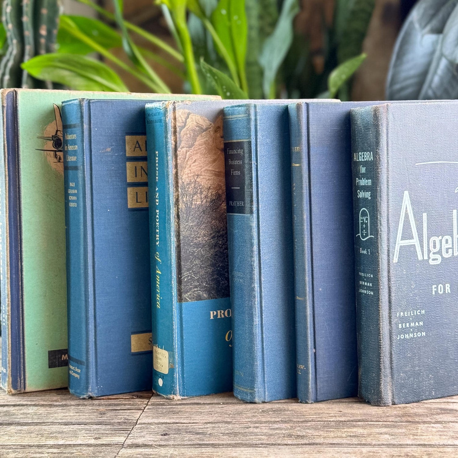 Vintage Oversized Blue Mid-Century Textbook Bundle For Shelf Styling