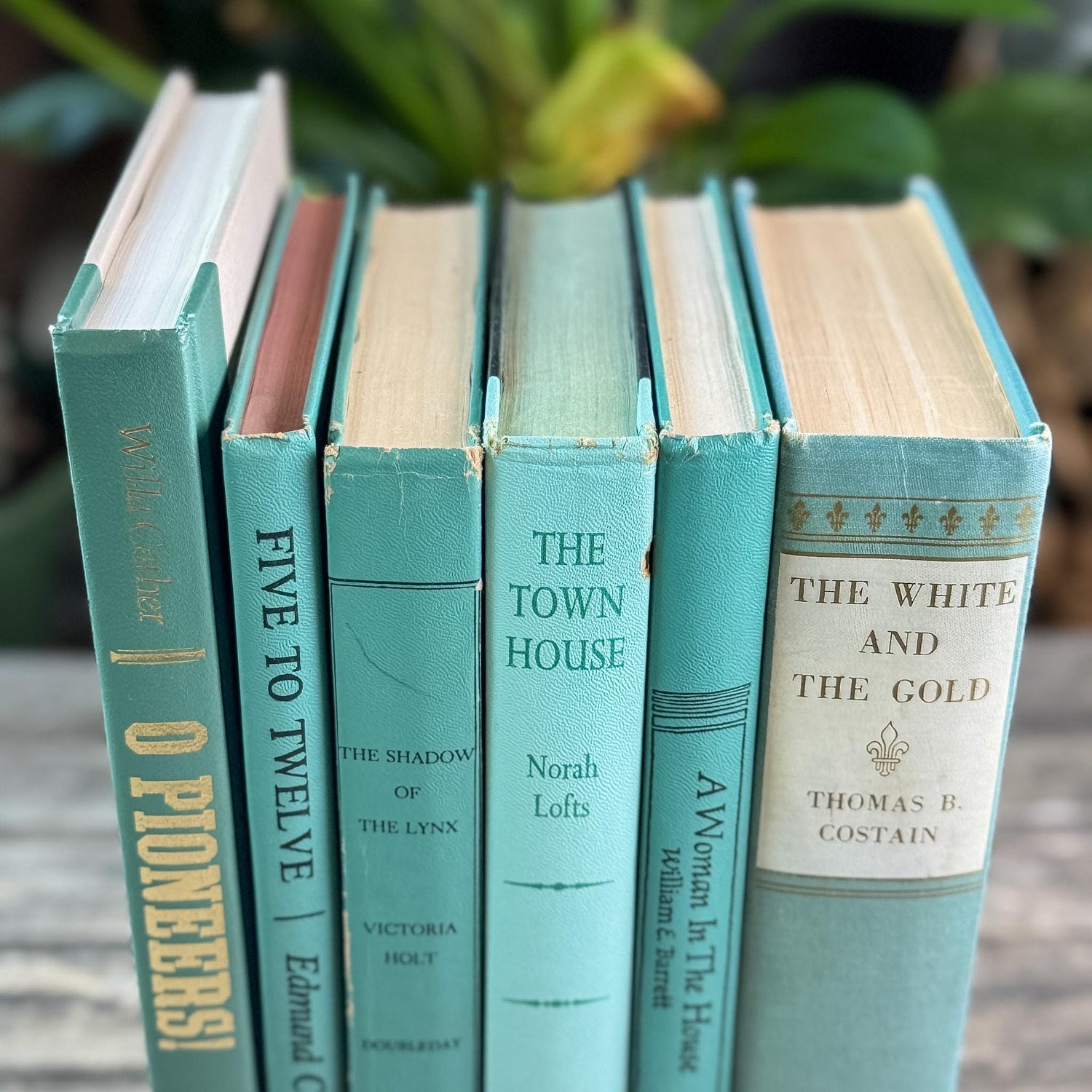 Teal and Mint Mid Century Modern Book Set
