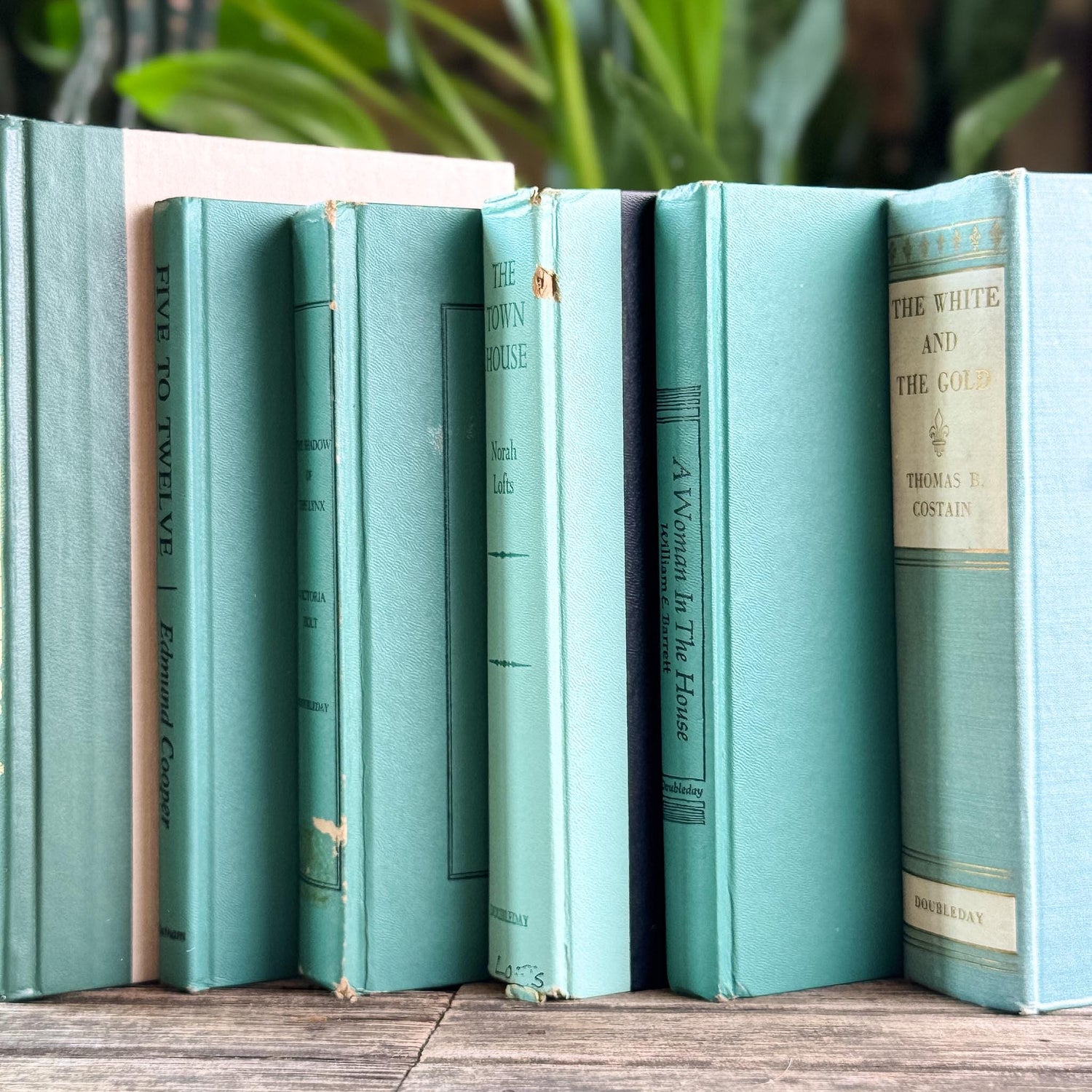 Teal and Mint Mid Century Modern Book Set