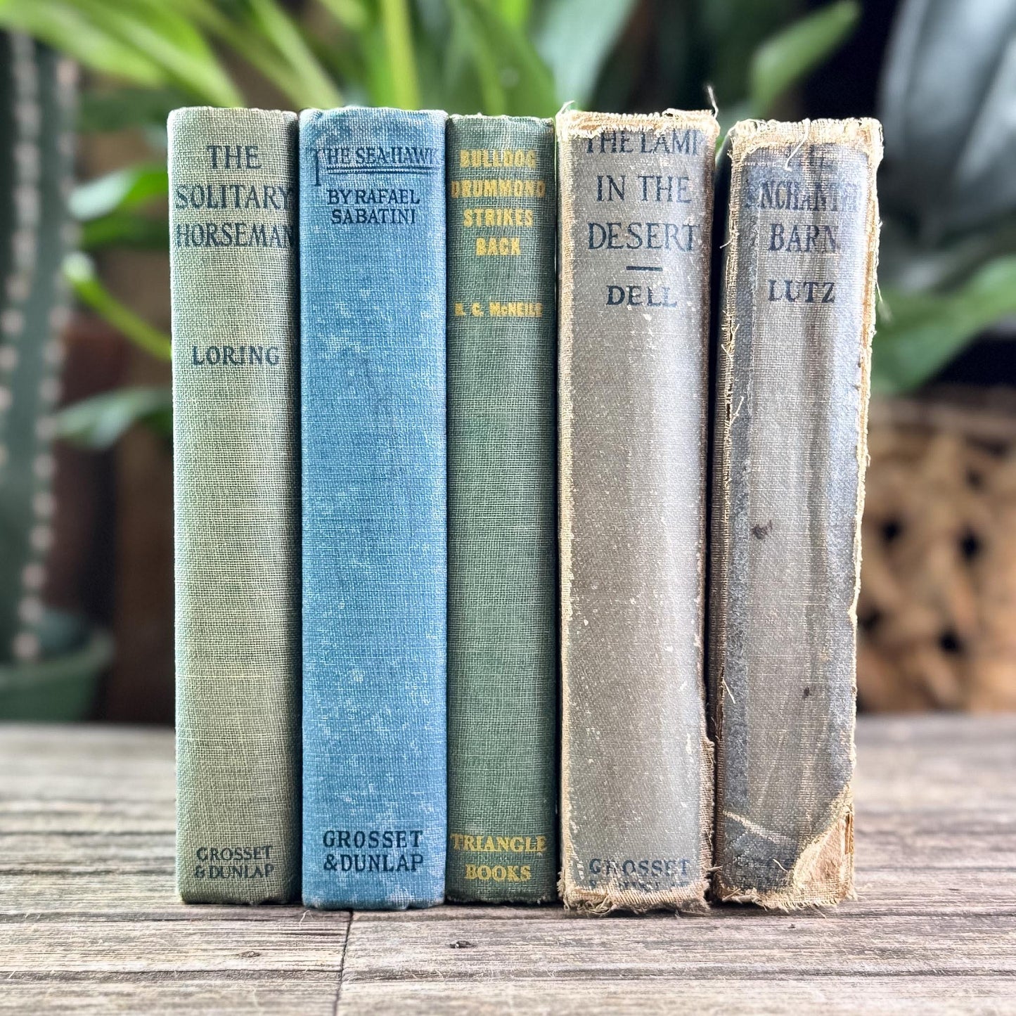 Antique Faded Blue and Green Shabby Distressed Books for Decor