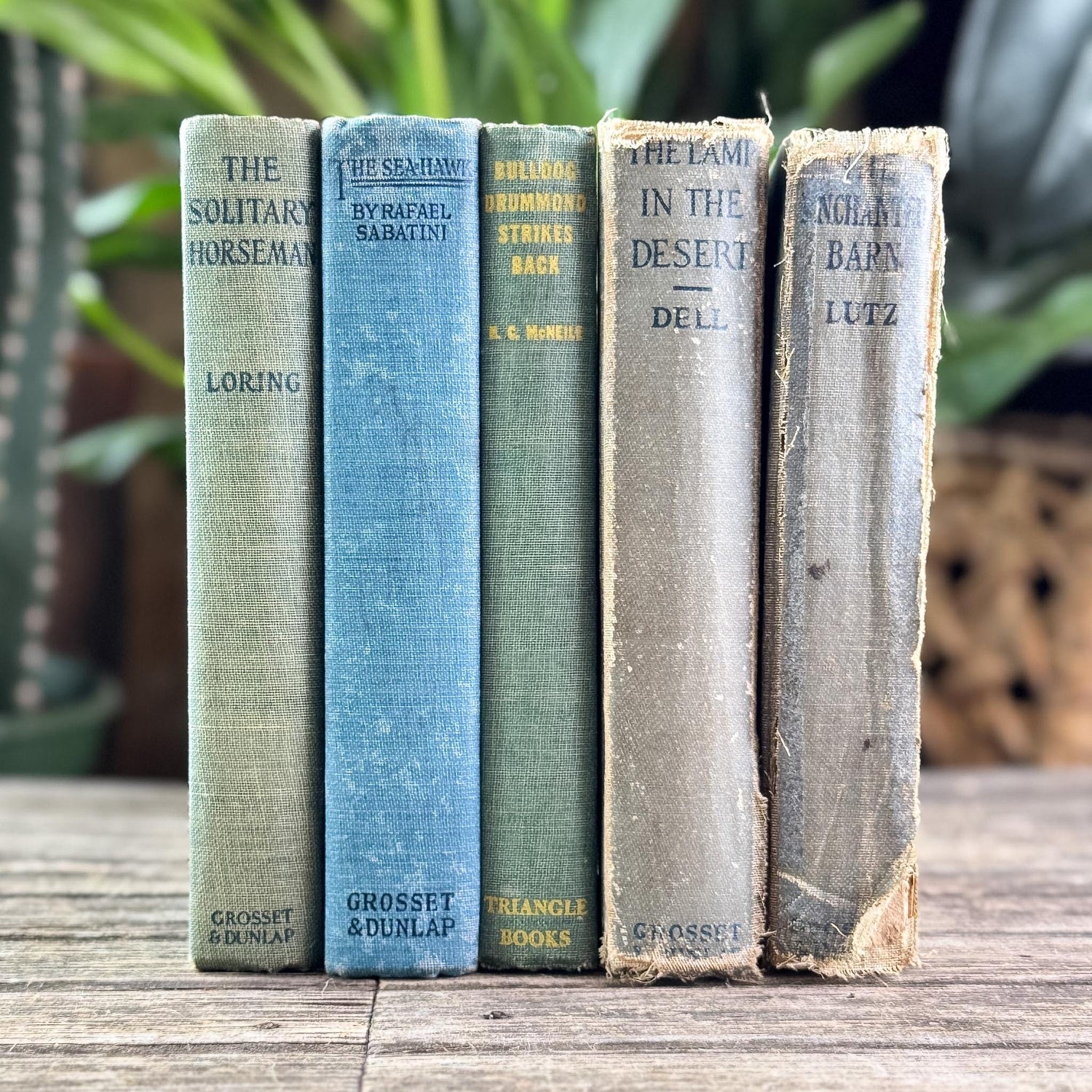 Antique Faded Blue and Green Shabby Distressed Books for Decor