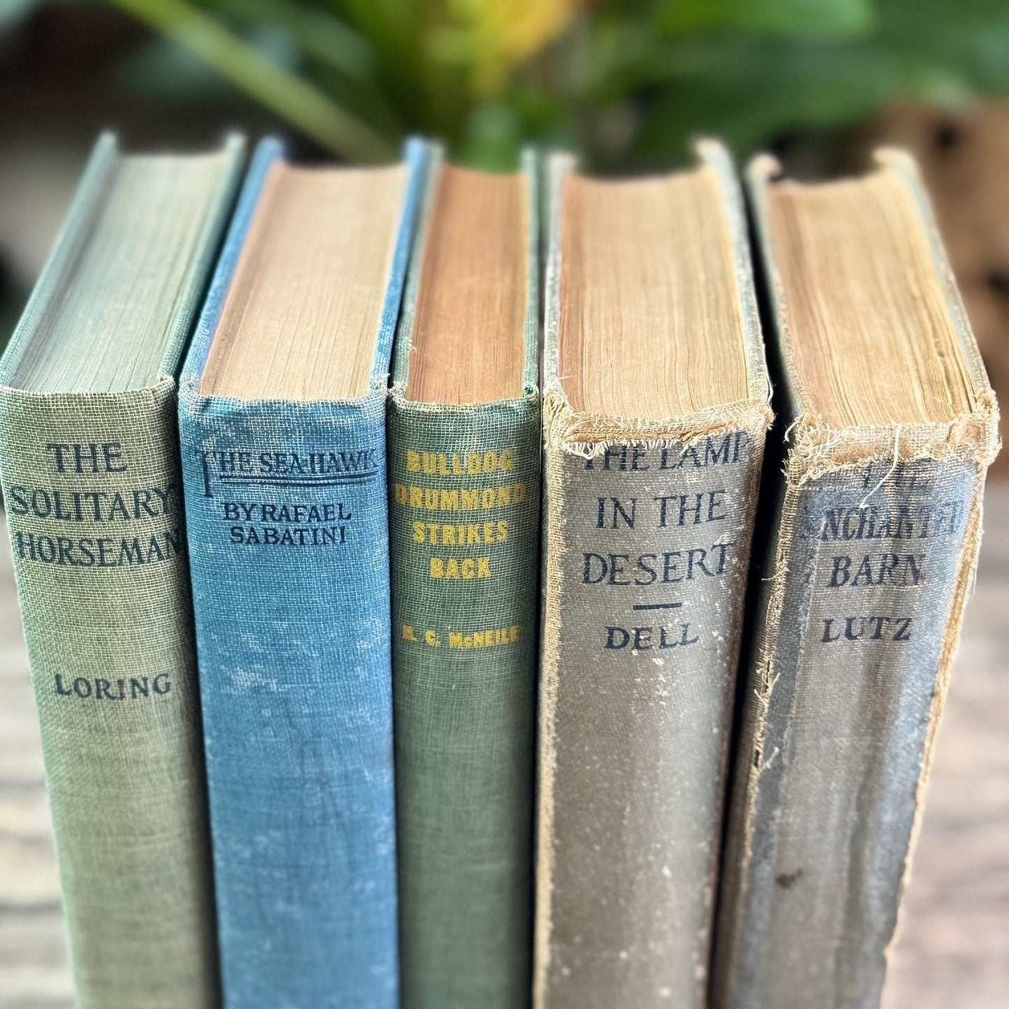 Antique Faded Blue and Green Shabby Distressed Books for Decor
