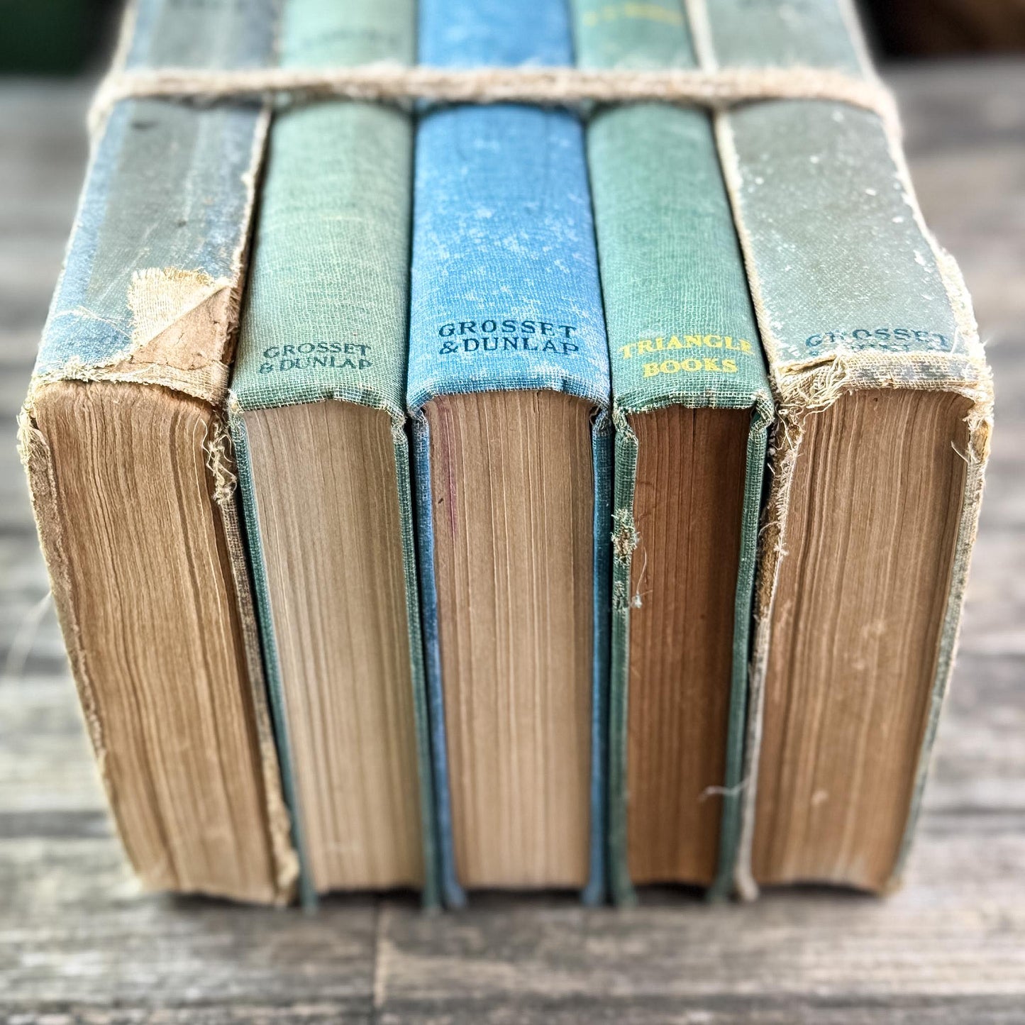 Antique Faded Blue and Green Shabby Distressed Books for Decor