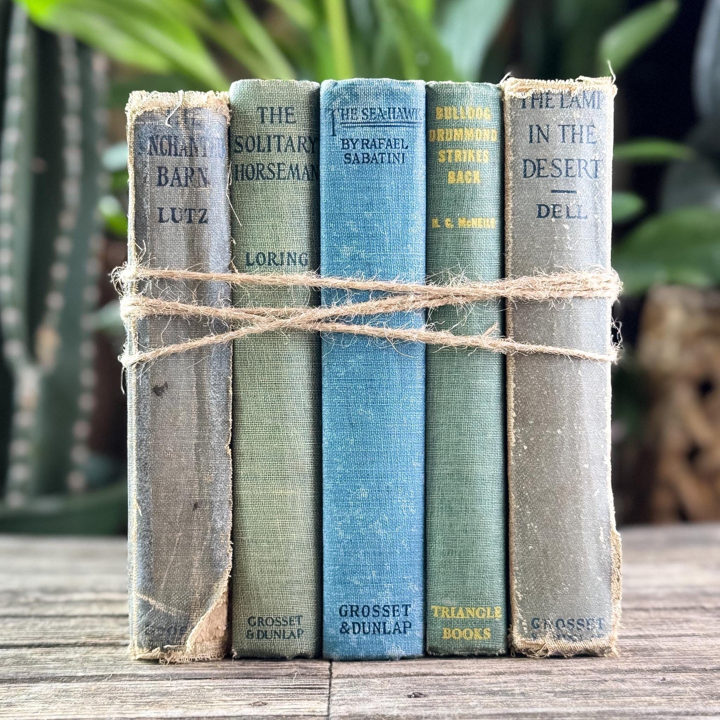 Antique Faded Blue and Green Shabby Distressed Books for Decor