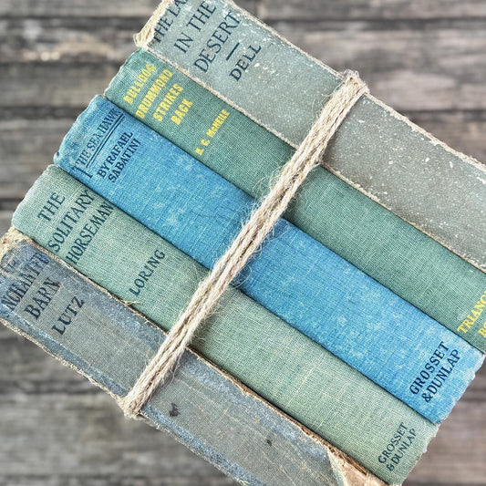 Antique Faded Blue and Green Shabby Distressed Books for Decor