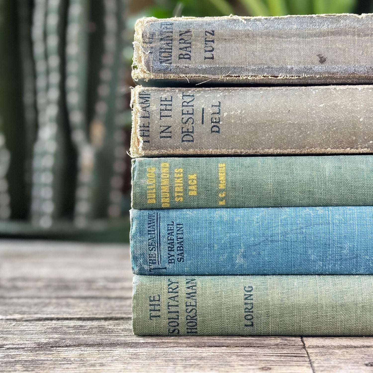 Antique Faded Blue and Green Shabby Distressed Books for Decor