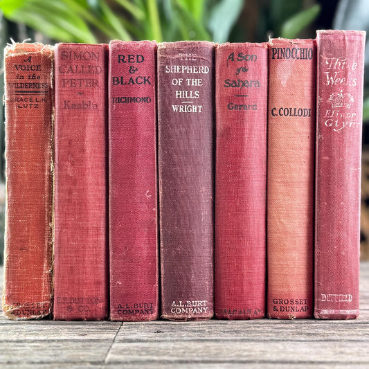 Antique Red Novels and Domestic Fiction for Shelf Styling