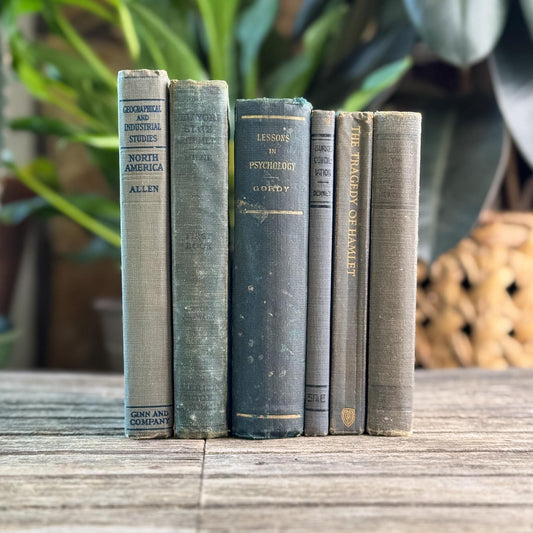 Antique Blue-Green Shabby School Books For Styling