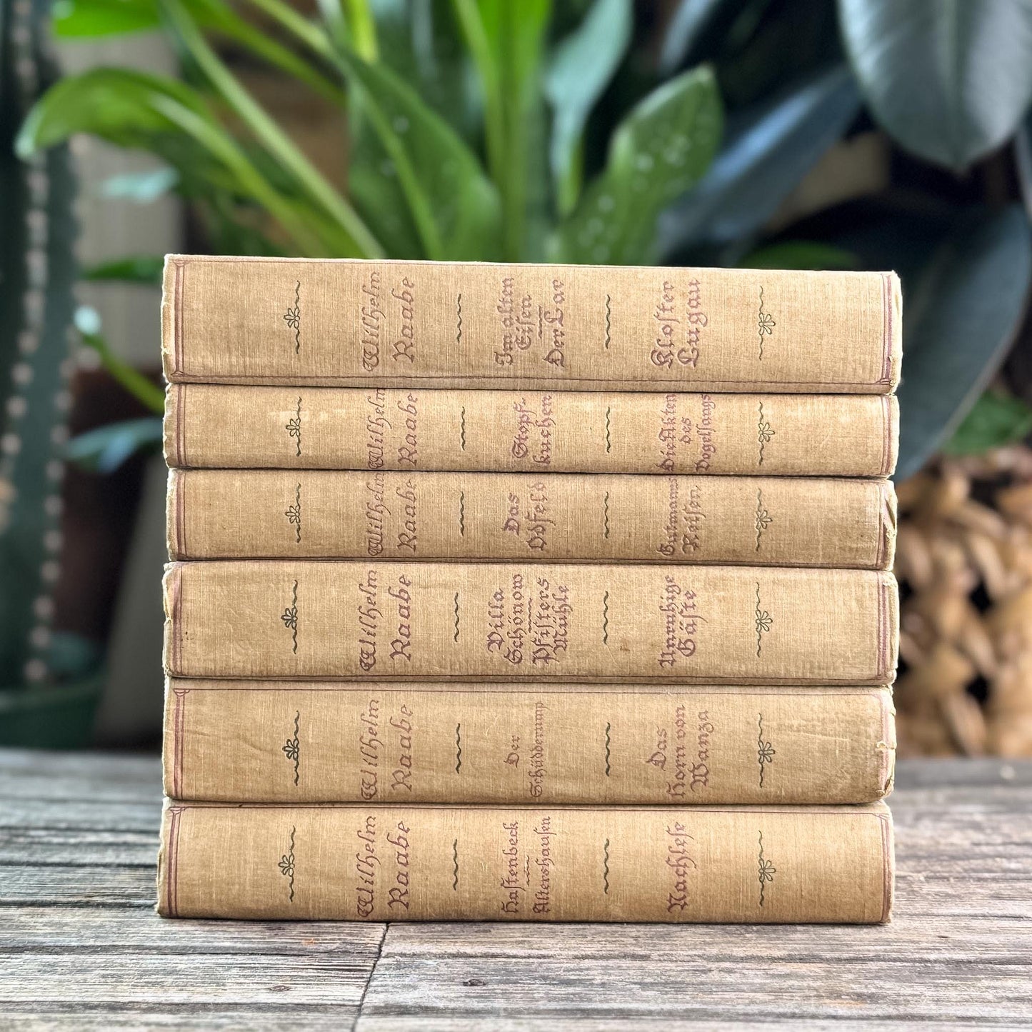 6-Volume Set of Antique German Gray Cloth Hardcovers