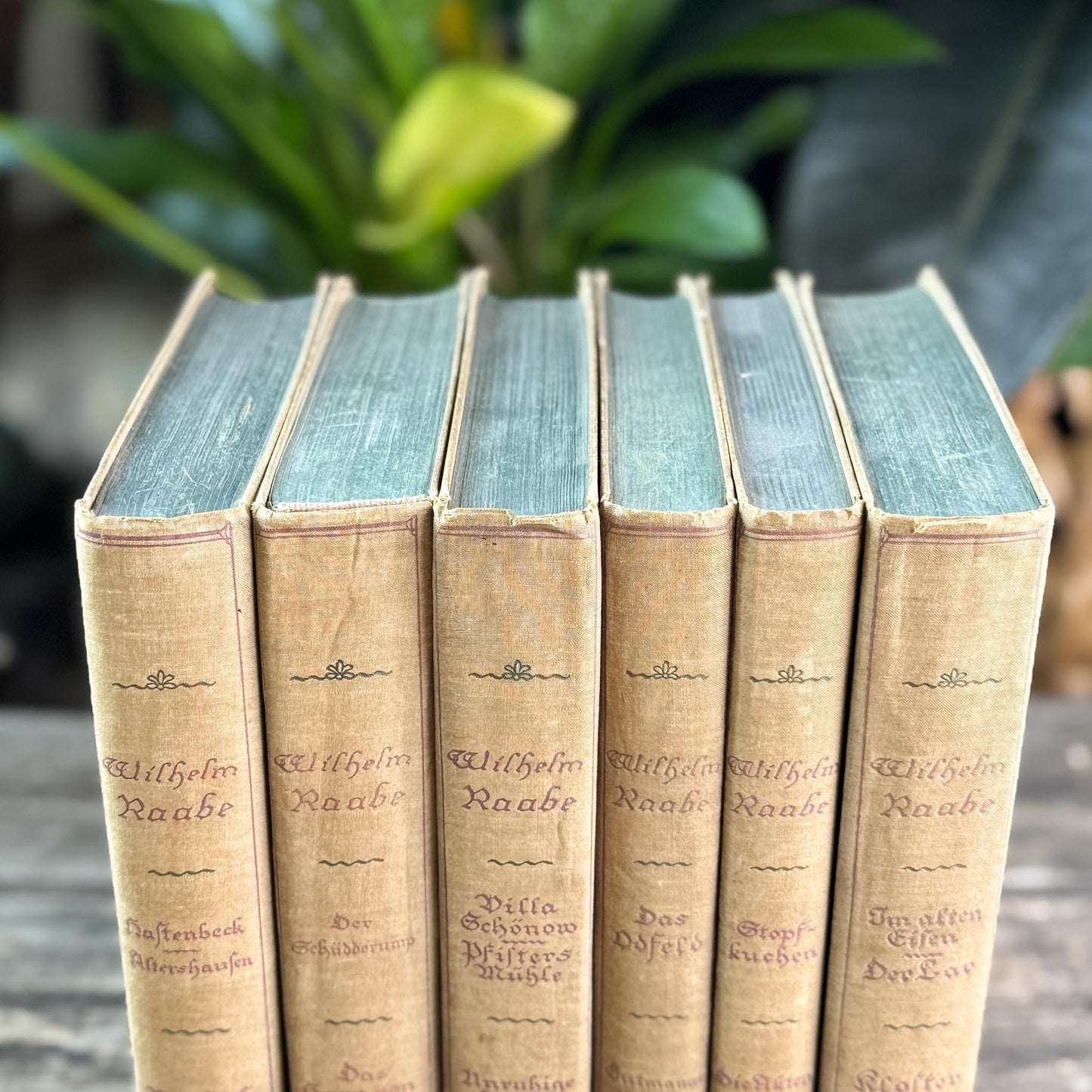 6-Volume Set of Antique German Gray Cloth Hardcovers