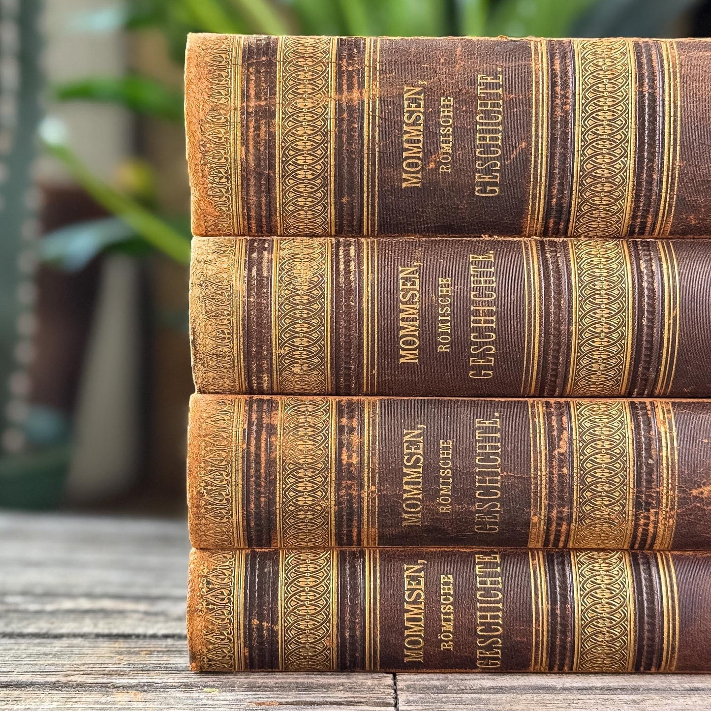 Antique European Leather Books, Theodor Mommsen, 1907