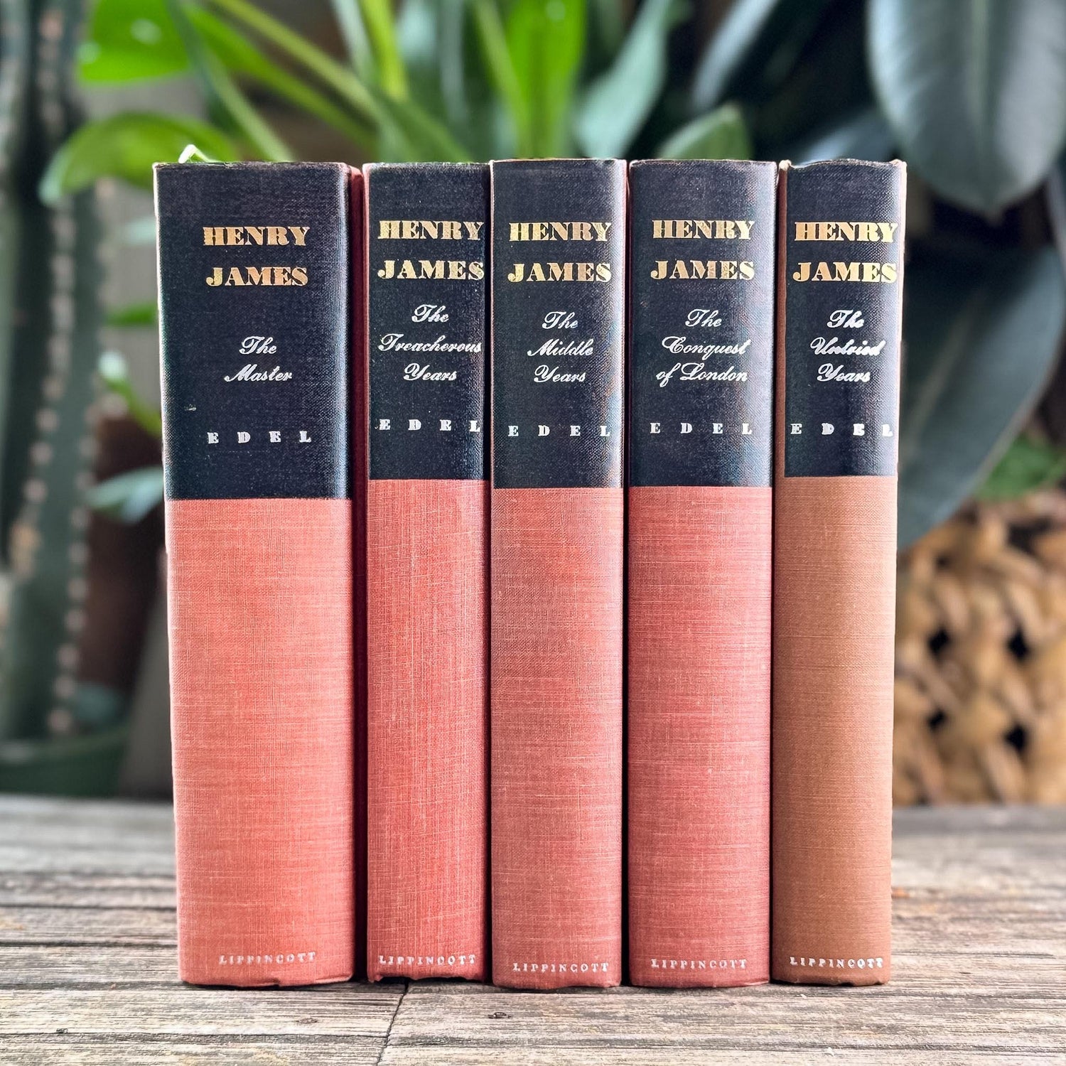 Leon Edel Henry James Biography, Complete 5-Volume First Edition Set, Pulitzer Prize