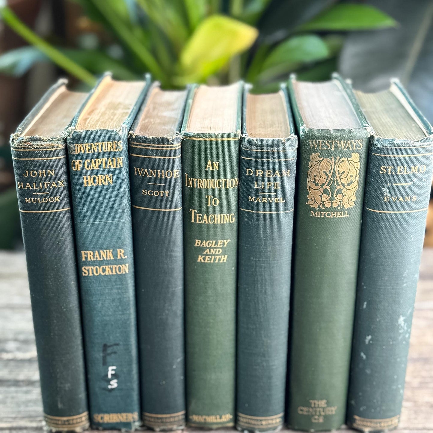Antique Green Classic Literature Books for Dark Academia Shelf Styling