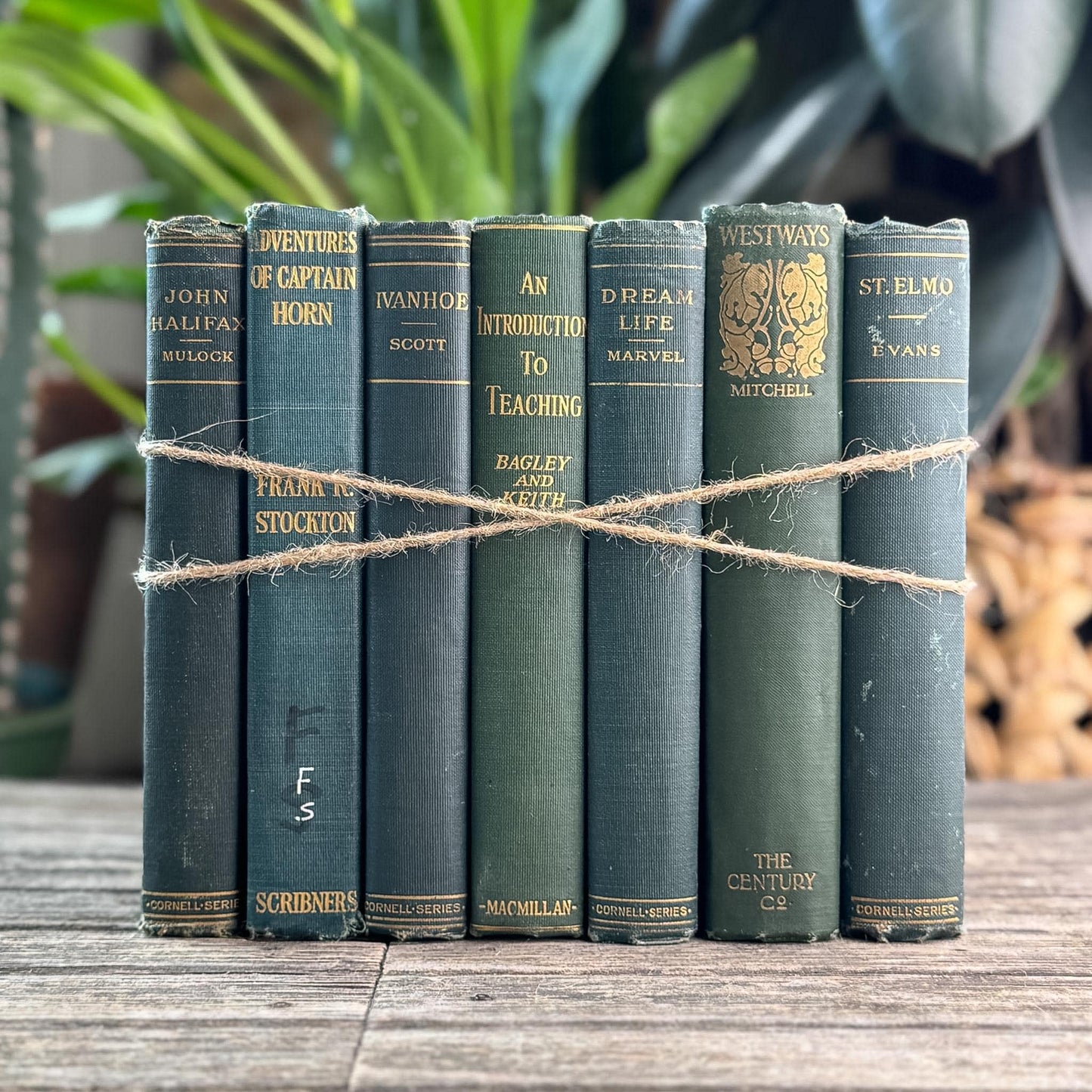 Antique Green Classic Literature Books for Dark Academia Shelf Styling