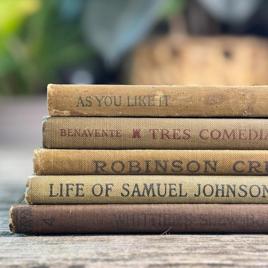 Mini Book Set of Antique School Books and Classics