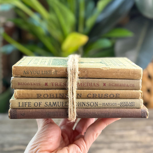 Mini Book Set of Antique School Books and Classics