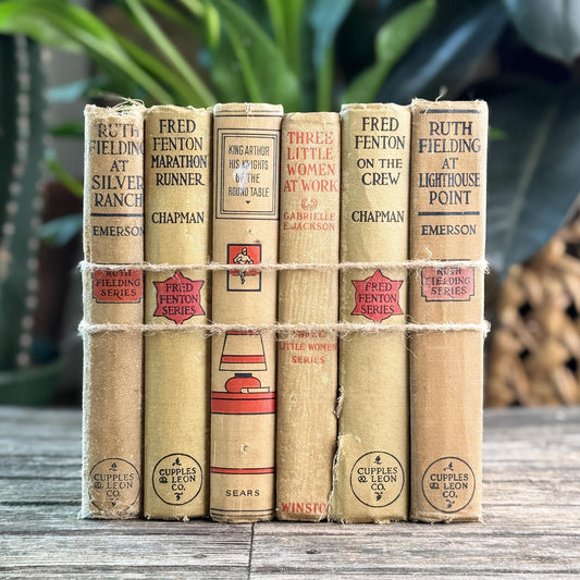 Antique 1920s Shabby Neutral Books for Kids