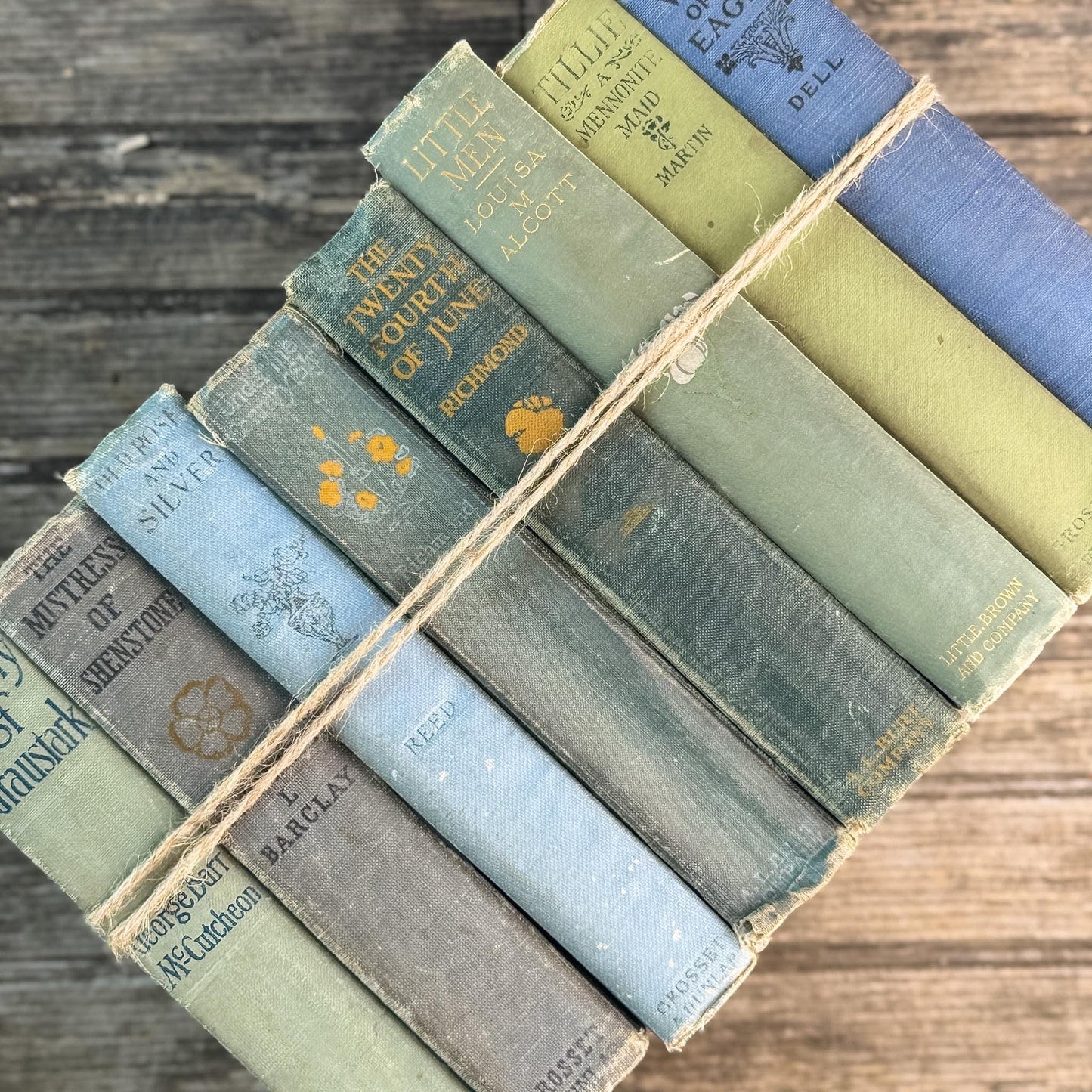 Antique Green and Blue Domestic Fiction Novels