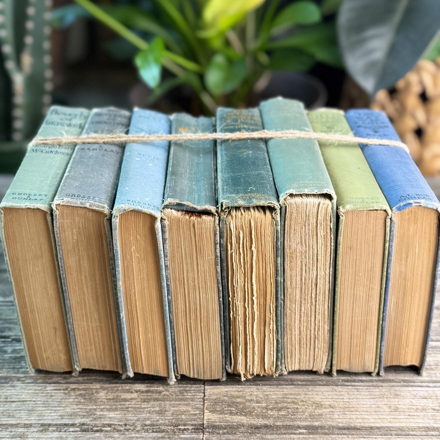 Antique Green and Blue Domestic Fiction Novels