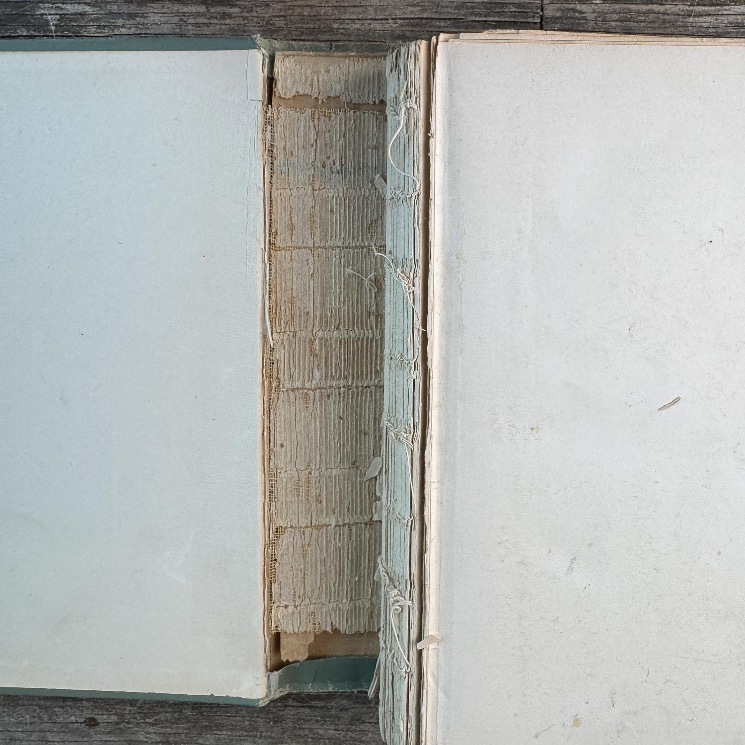 Antique Green and Blue Domestic Fiction Novels