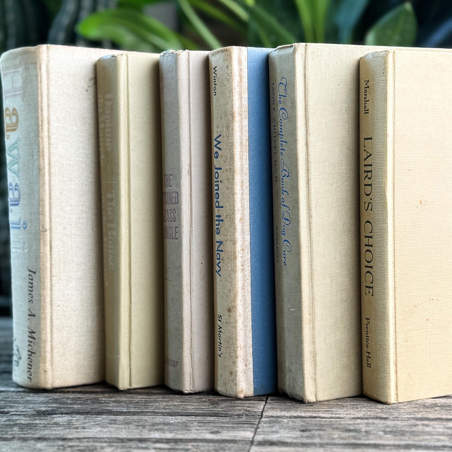 Vintage Shabby Cream Textured Linen Book Set