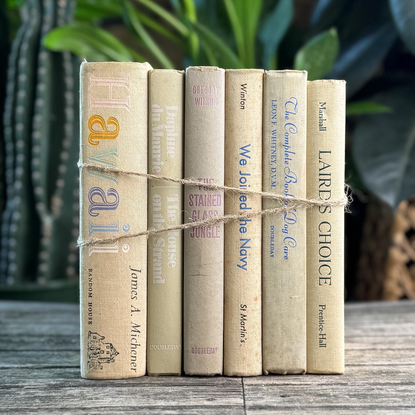 Vintage Shabby Cream Textured Linen Book Set