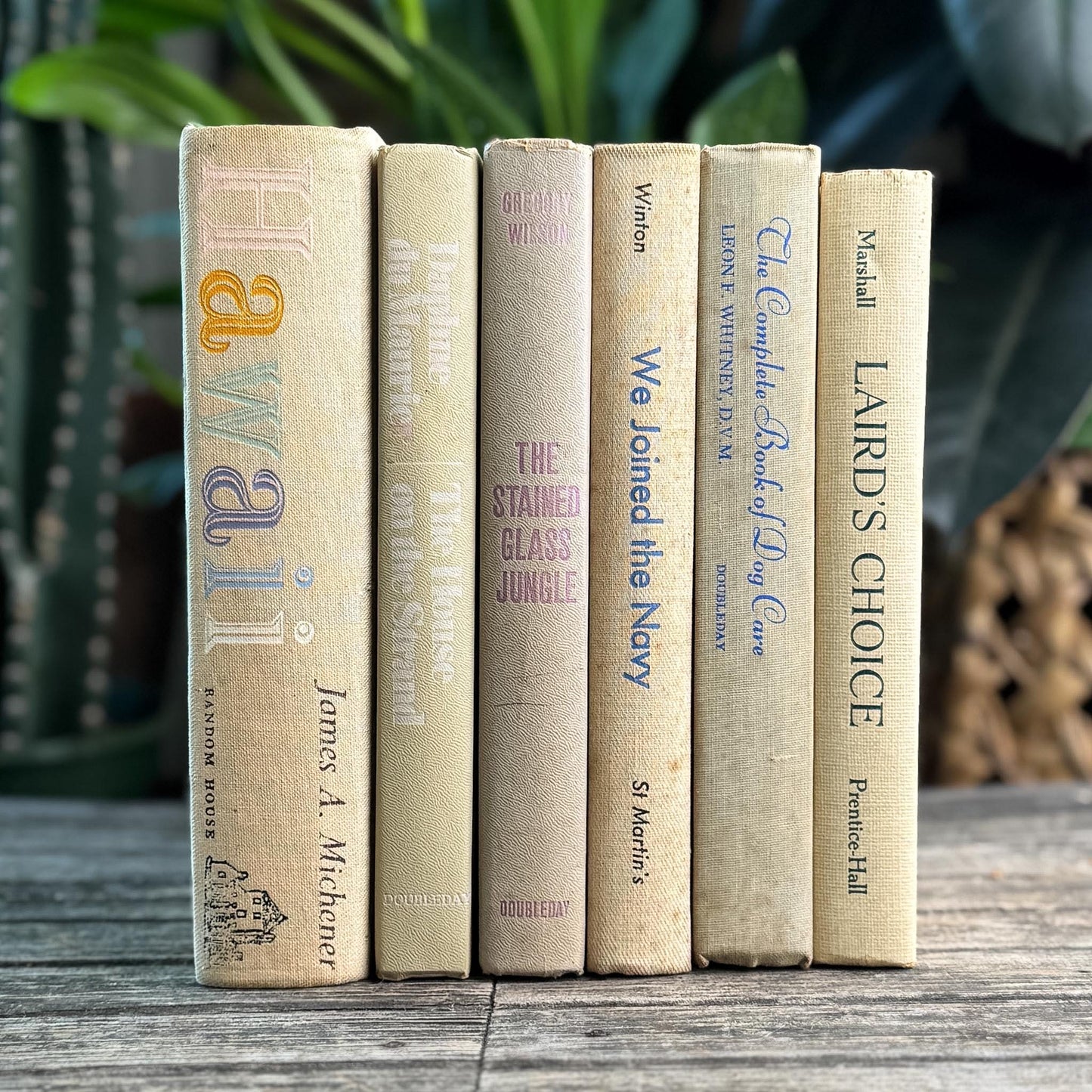 Vintage Shabby Cream Textured Linen Book Set
