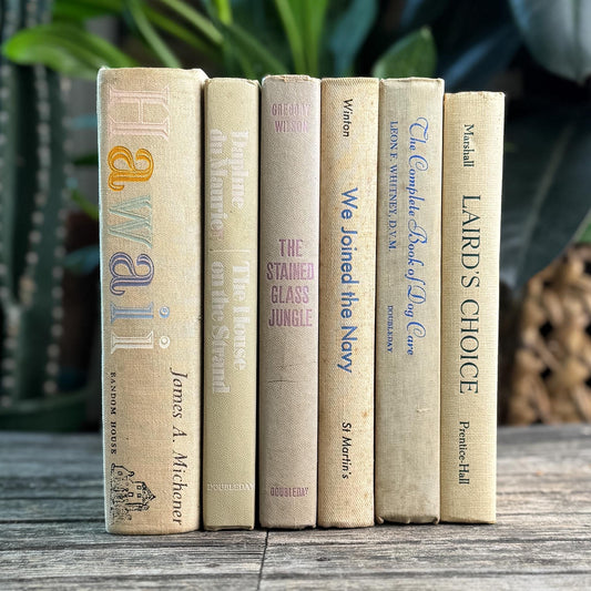 Vintage Shabby Cream Textured Linen Book Set