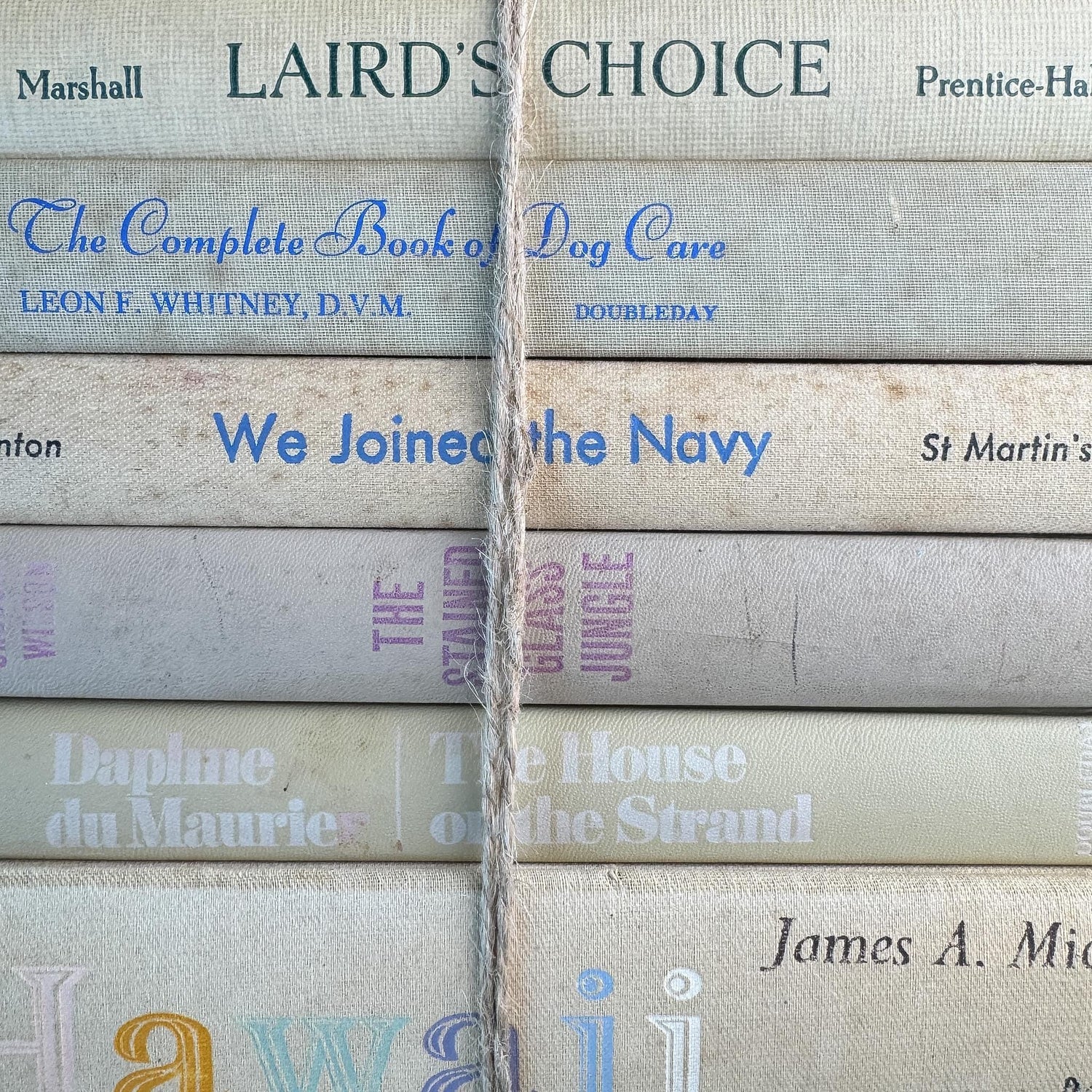 Vintage Shabby Cream Textured Linen Book Set
