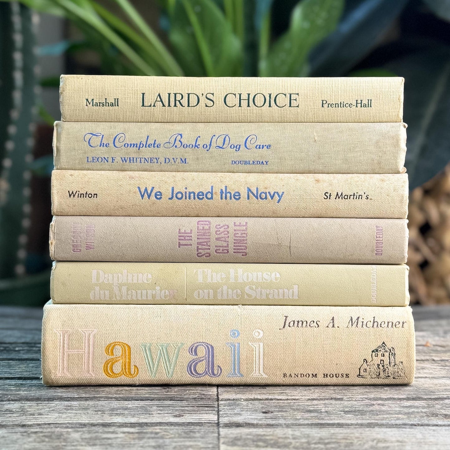 Vintage Shabby Cream Textured Linen Book Set