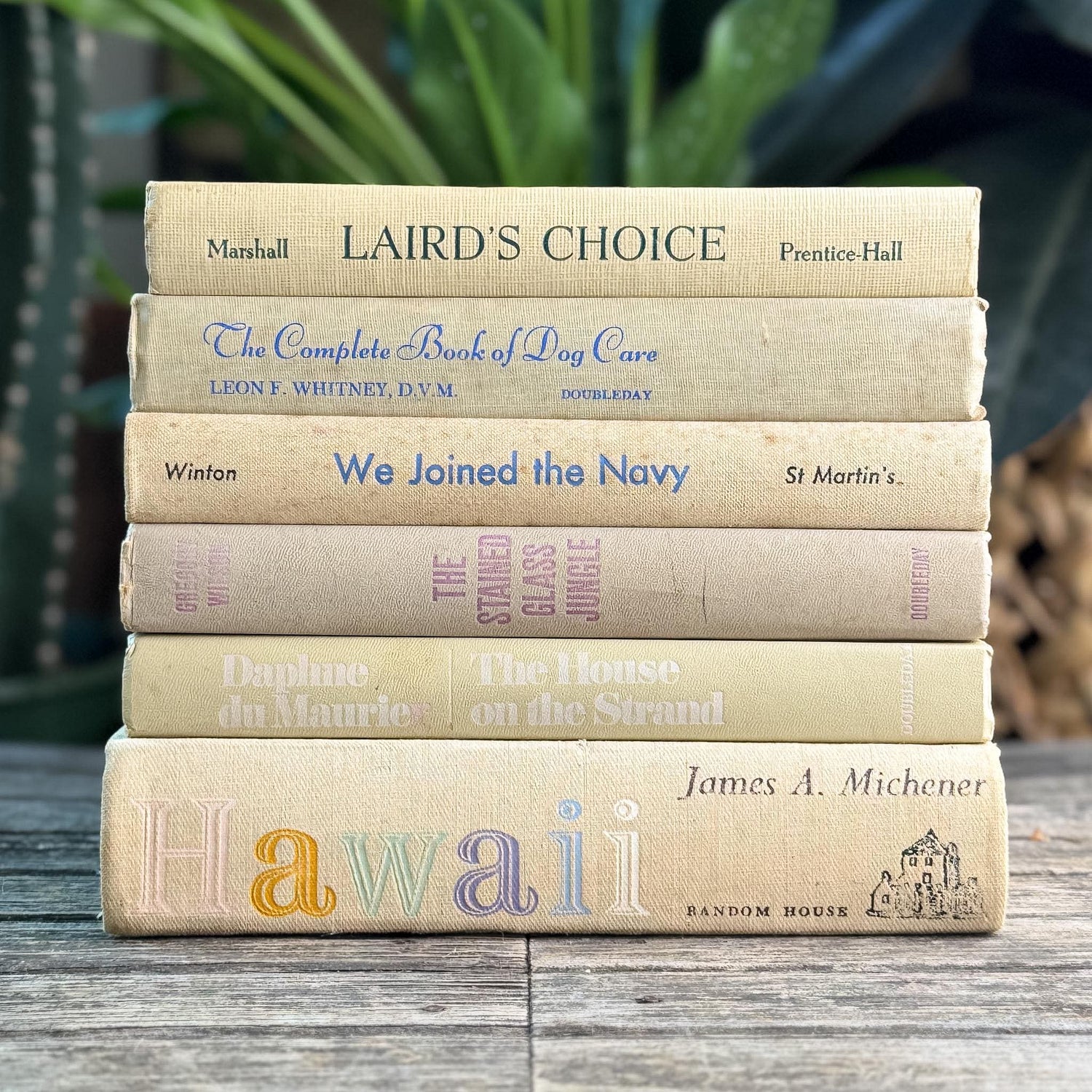 White/Cream Books