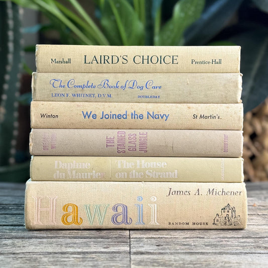 Vintage Shabby Cream Textured Linen Book Set