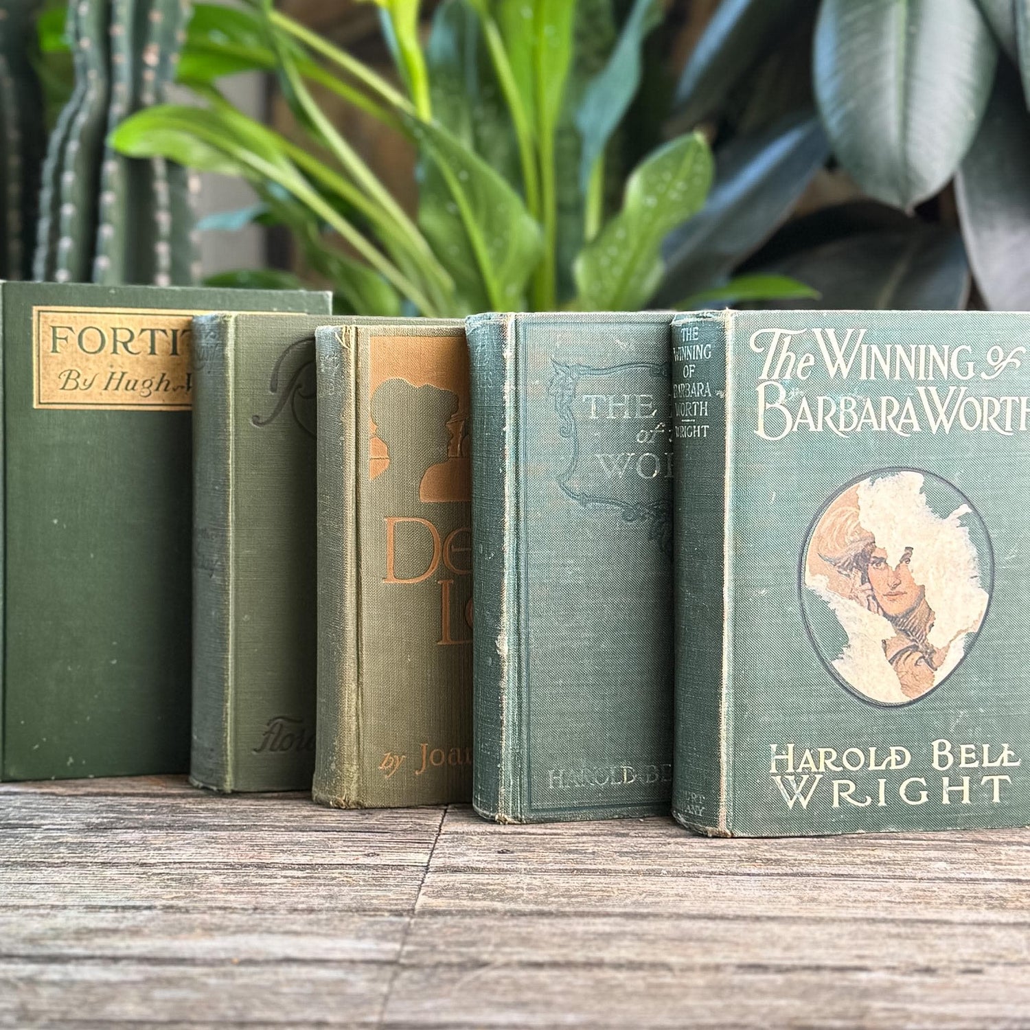 Antique Green Novel Bundle For Shelf Styling