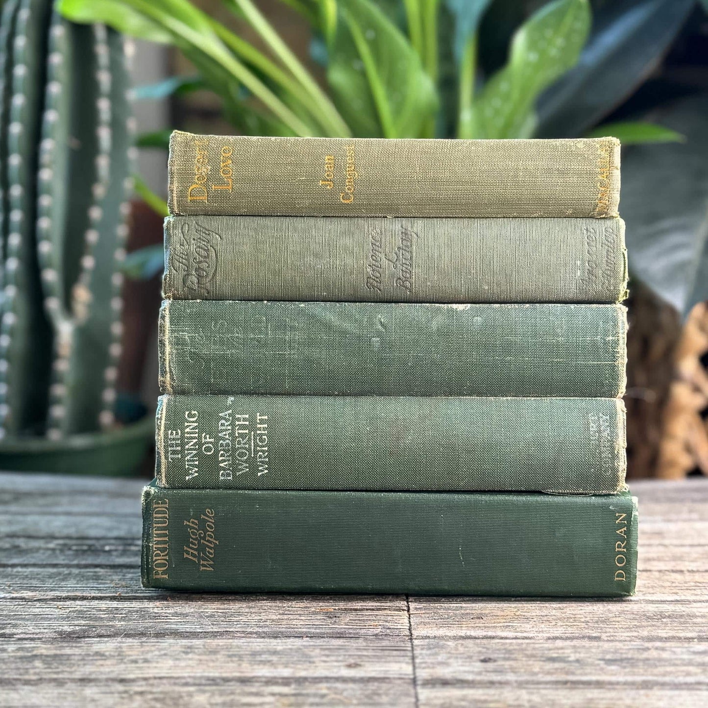 Antique Green Novel Bundle For Shelf Styling