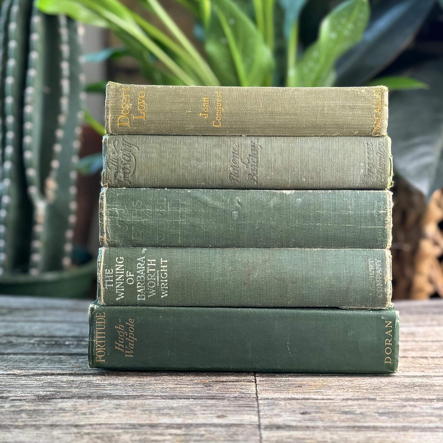 Antique Green Novel Bundle For Shelf Styling