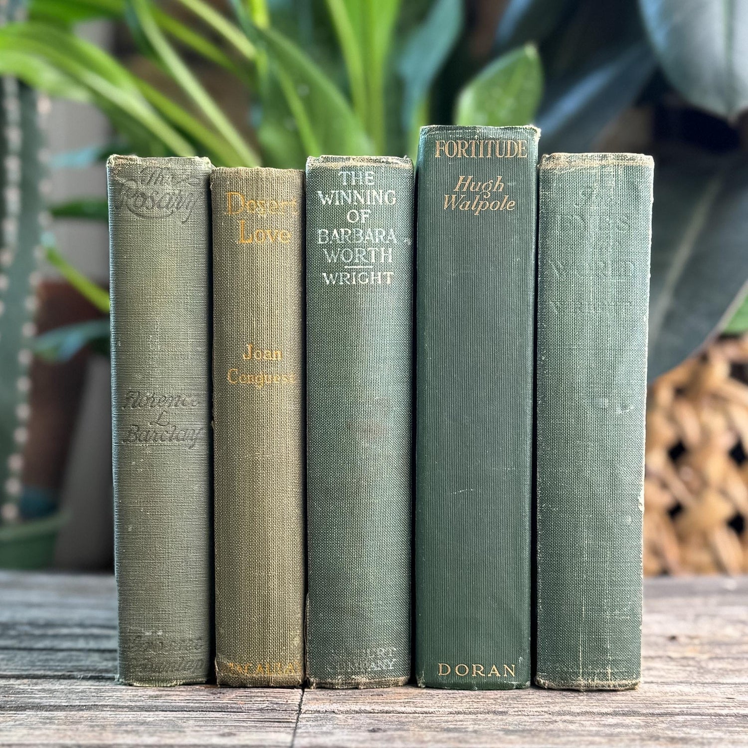 Antique Green Novel Bundle For Shelf Styling